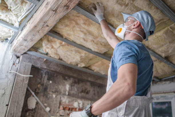 Best Insulation for Specific Applications in Barton Creek, TX